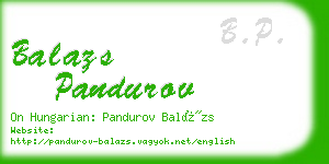 balazs pandurov business card